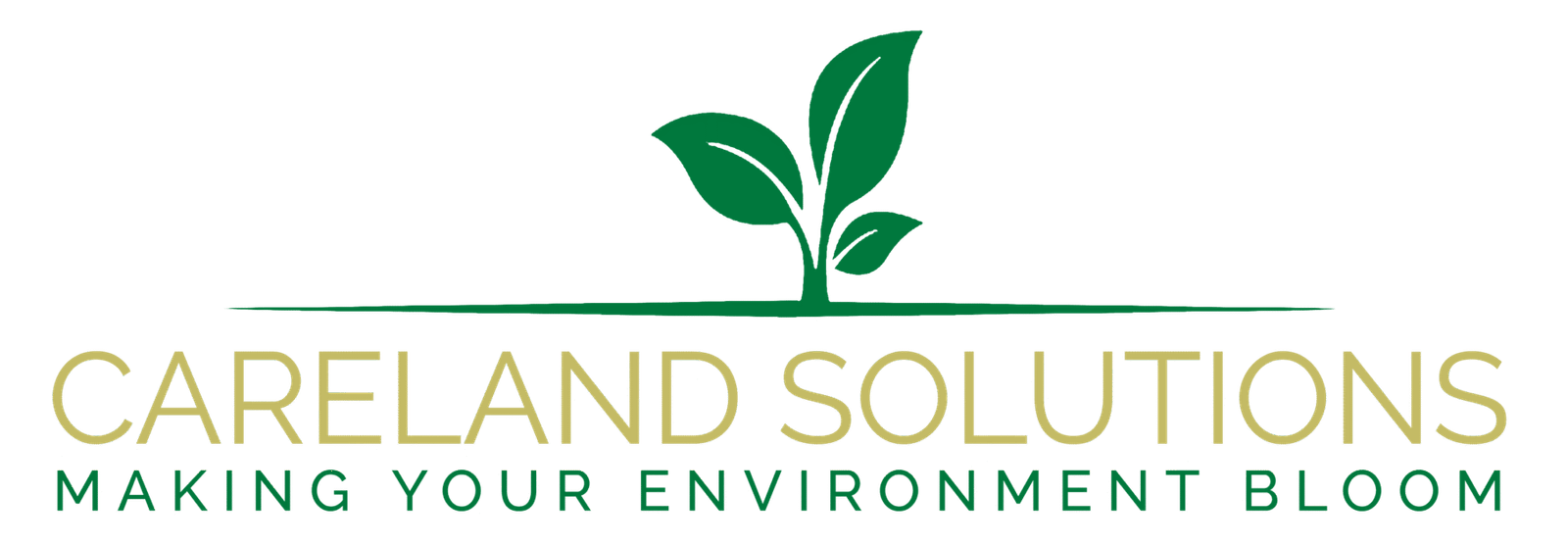 Carelandsolutions